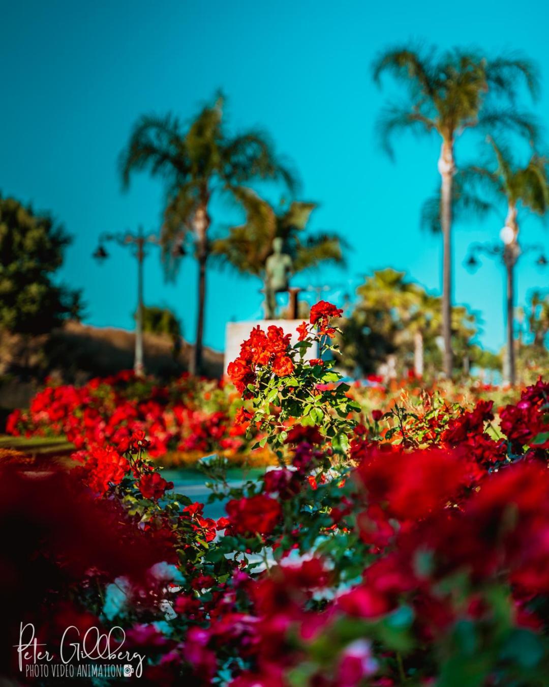 エステポナCasa Catalina Beach And Golfアパートメント エクステリア 写真